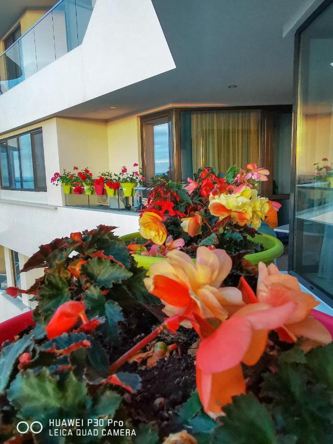Luxury Apartments Alix Burgas Exterior photo